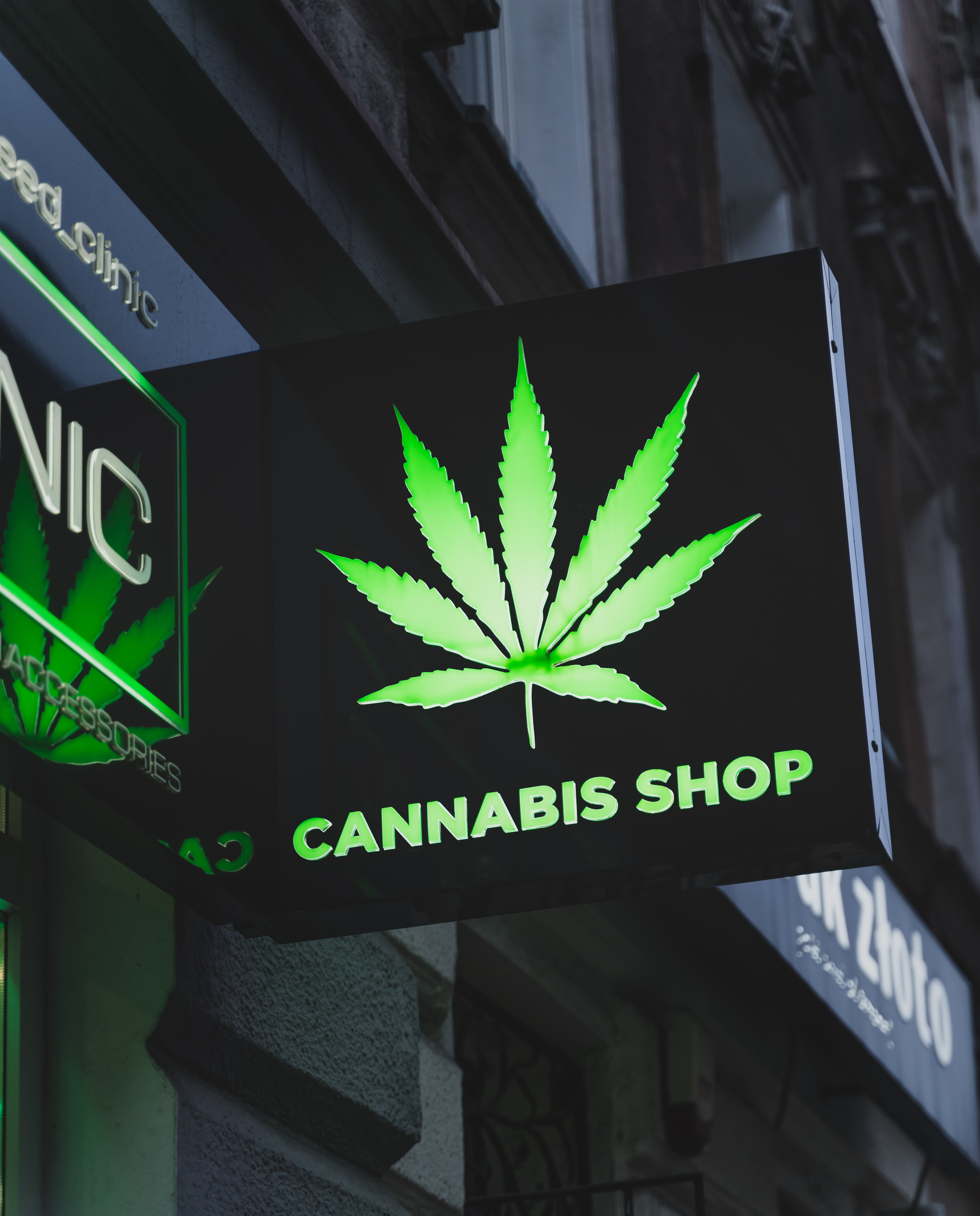 Cannabis Shop | Damian Barczak on Unsplash